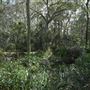 Boondall Wetlands