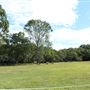 Curlew Park - Cabbage Tree Creek