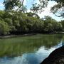 Curlew Park - Cabbage Tree Creek