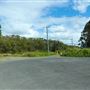 Curlew Park - Cabbage Tree Creek