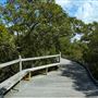 Nudgee Beach Wetlands Reserve