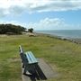 Tuckeroo Park & Dog beach