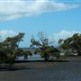 Nudgee Beach