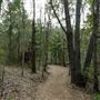 Enoggera Reservoir