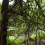 Enoggera Reservoir