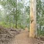 Enoggera Reservoir