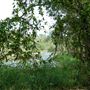 Enoggera Reservoir
