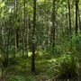 Enoggera Reservoir