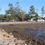 Pandanus Beach