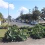 The Esplanade