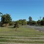 Retro Suburban Streetscapes