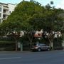 Newstead Streetscape