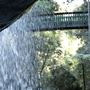 Buderim Forest Park