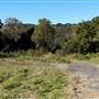 Property Mt Tamborine