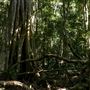 Palm Grove Property
