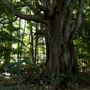 Palm Grove Property