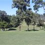 Victoria Park/Barrambin