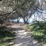 Main Beach - Phillip Park