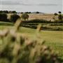 Twigley Farm