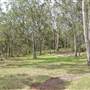 Stockyard Creek