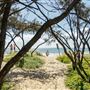 Sunrise Beach