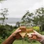Montville - Misty View Cottages