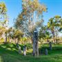 Tondoon Botanic Gardens Gladstone