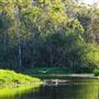 Tondoon Botanic Gardens Gladstone