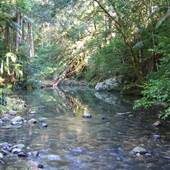 Austinville Rock Pools