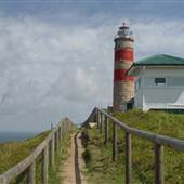 Mulgumpin (Moreton Island) - Cape Moreton