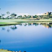 Palm Meadows Golf Course
