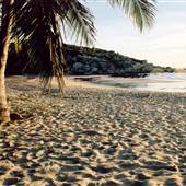 Rose Bay (Bowen)