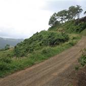 Mountain Road