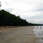 Wonga Beach