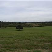 Bushland / Nature Reserve