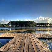 Pine Forest, Riverside Skate Park & Open Sports Fields - Pizzey Park