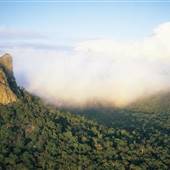 Glass House Mountains