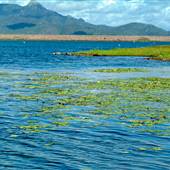 Townsville - Ross Dam