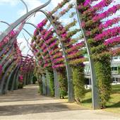 South Bank Grand Arbour