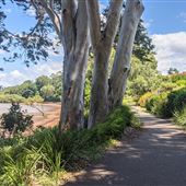 Jack Gordon Pathway