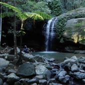 Buderim Forest Park