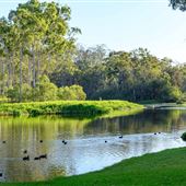 Tondoon Botanic Gardens Gladstone