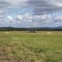 Archerfield Airport