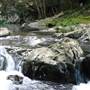 Austinville Rock Pools