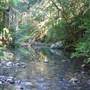 Austinville Rock Pools