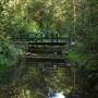 Bellbird Grove - D'Anguilar National Park