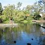 Mt Coot-tha Botanical Gardens