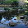 Mt Coot-tha Botanical Gardens