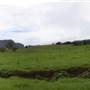 Cedar Glen Farmstay