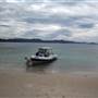 Haslewood Island - Chalkies Beach